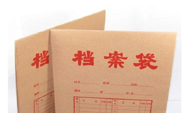个人档案