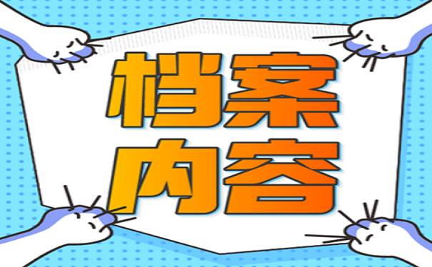 档案内容