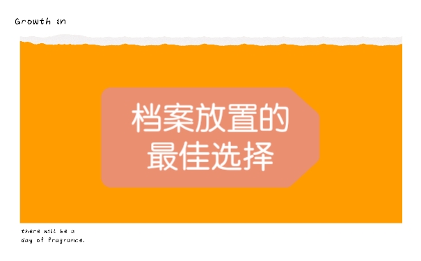 档案放置的最佳选择