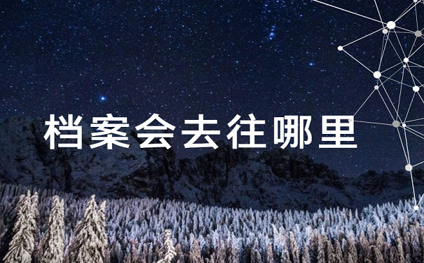 档案会去往哪里