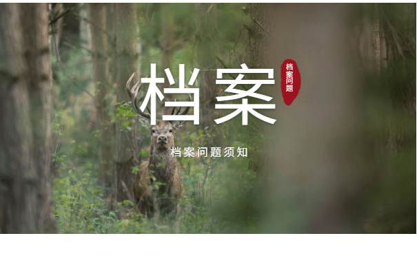 档案须知