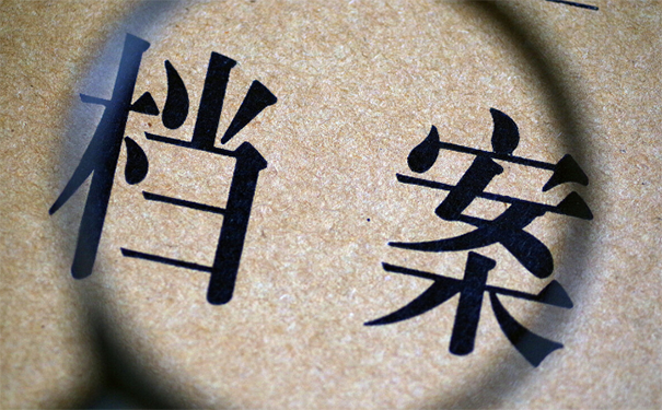 个人档案
