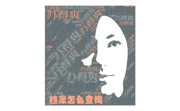 档案怎么查询？
