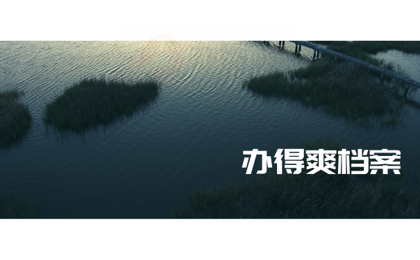 升职猫