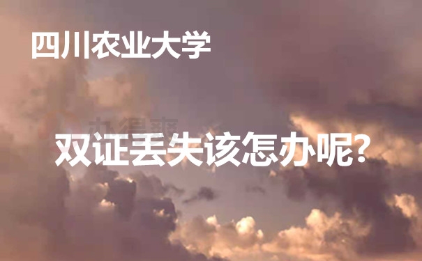 双证丢失该怎办呢?