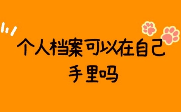 个人档案
