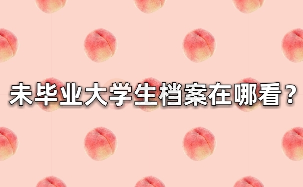 档案在哪里看
