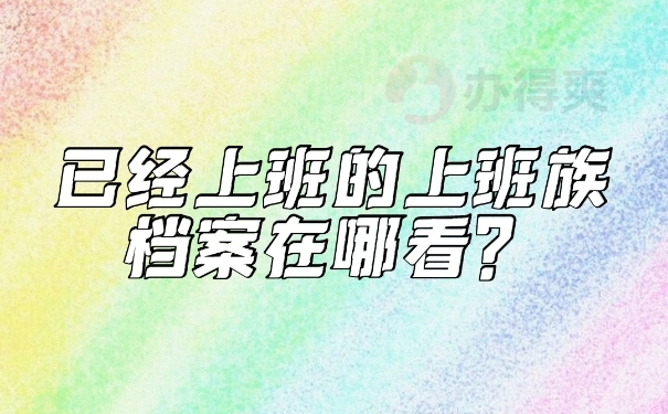 档案查询