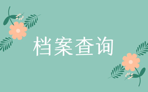 档案查询