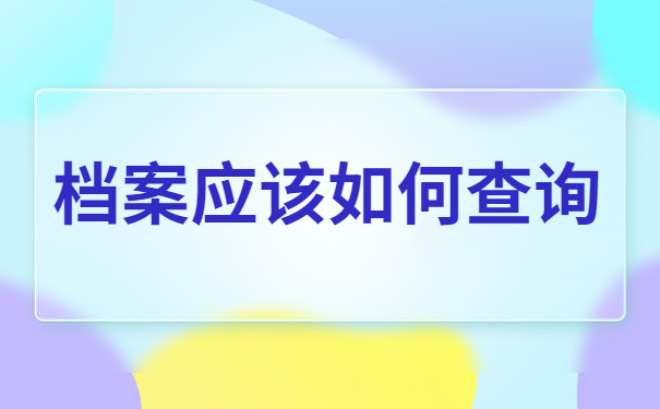 档案应该如何查询