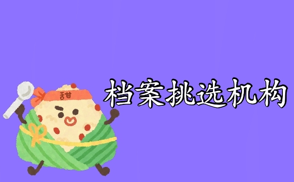 档案挑选机构