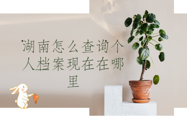 湖南怎么查