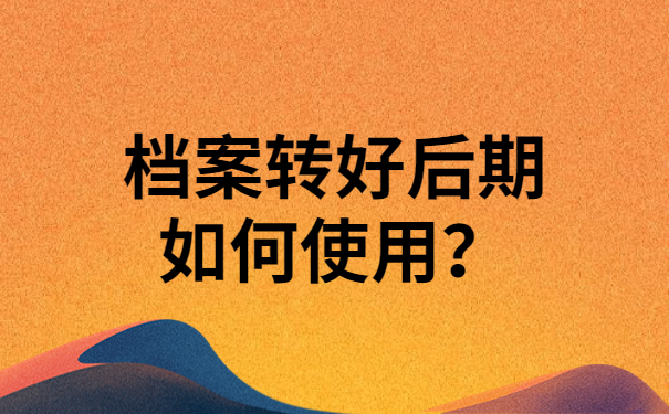 档案转好后期如何使用？