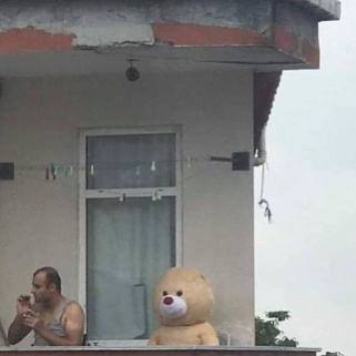 王不问的头像