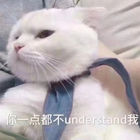 谭云鹏的头像