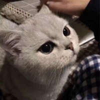 ttt的头像